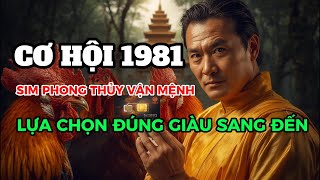 SIM Card Suitable for Male Born in 1981, TAN DAU: August 15th, Lunar Calendar Reveals Phone Numbe...