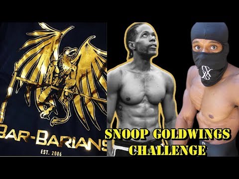 Street Workout To Increase Pull & Push Strength ||  Snoop GoldWing Challenge