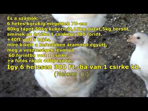 prebiotikumok rossz lehelet
