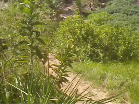 Trilha dos Cachorro LokO PE