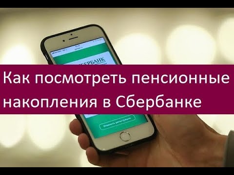 Как посмотреть пенсионные накопления в Сбербанке. Способы