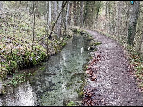 Am Goldbach von Vagen entlang