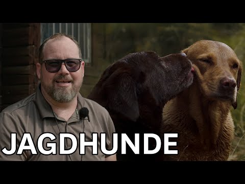 10 minutes for the dog is enough! | HUNTER with Jan Henriksen