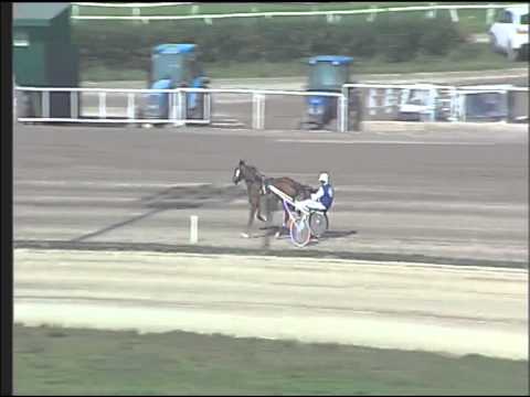 Trotto 19/03/2015 - prova di riqualifica