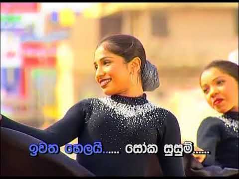 Udatara Kadukaraye(උඩරට කදුකරයේ)- Torana SINHALA Karaoke | VOL 03