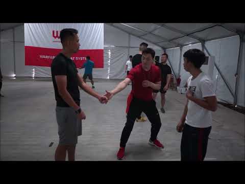 Shaolin Yu Dayou's stick technique - DK Yoo