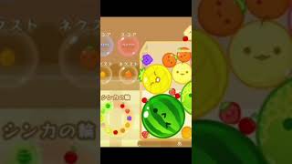 6月8日 あ さんダブルスイカ決めたったw #short #スイカゲーム