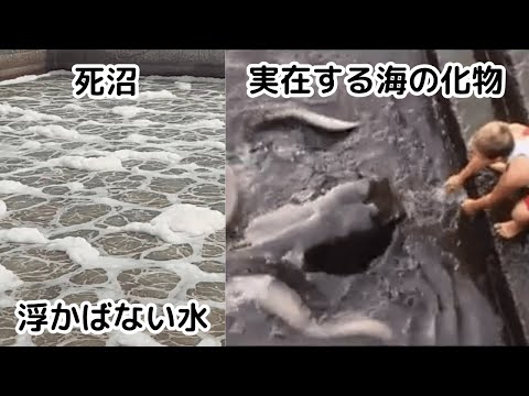 "水"がこんなに怖いなんて…海洋恐怖症が加速する動画(川・湖含む