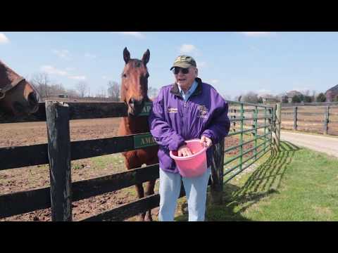 Old Friends Virtual Tour - Amazombie and Rapid Redux