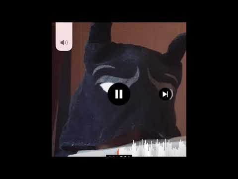 LoyaltyB4Royalty (freestyle)