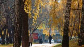 preview picture of video 'Осень, Академгородок, Новосибирск'
