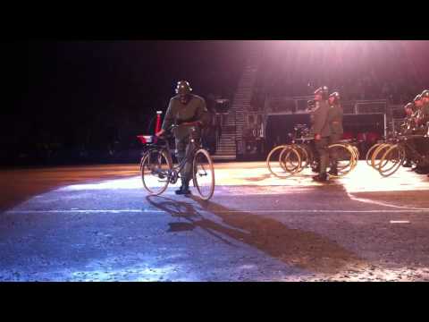 Dutch bicycle band mounted arms