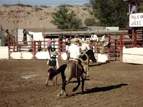 Jineteo de toro #3 (16 Oct. 2011)