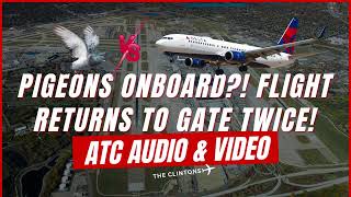 05/24/25:  Two Pigeons Delay Delta Flight from Minneapolis | ATC Audio