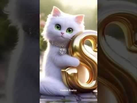 Cute cat 😻 S Z O. new trending Cute ll wish 🥀#cat #cute #cutecat #shorts