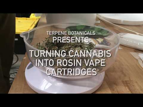 Transforming Cannabis Flower into Solventless Rosin Vape Cartridges