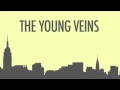 The Young Veins Cape Town