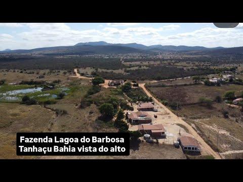 FAZENDA LAGOA DO BARBOSA, TANHAÇU BAHIA. 