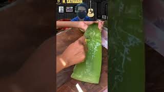 Download lagu DEBM menantu durhaka|tutorial memasak lidah mertua ala DEBM😂 @sakur_kesatria29 #shorts #youtubeshorts mp3