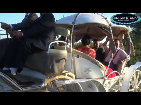 Nunta Nuntilor la Milano Italia