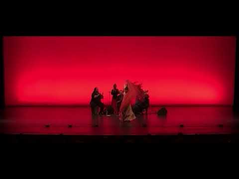Promotional video thumbnail 3 for Fanny Ara Flamenco Dance Company