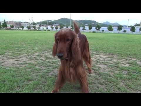 {$row[$i]['name'], ENT_QUOTES,'utf-8'); ?>