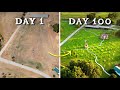 I Built A 200 Tree Orchard In 90 Days