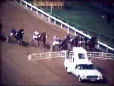 1975 Miracle Mile Young Quinn NZ