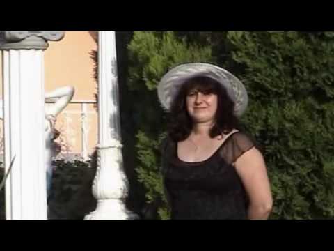 Vlaska Pesma -Zlatko Savic Al sarak kind ce vojasce