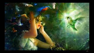 SILENT FORCE - HEART ATTACK