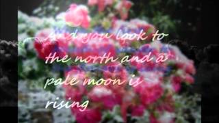 The Last Unicorn - America (Lyrics)