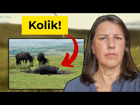 5 Warnzeichen, dass dein Pferd eine Kolik hat(erschreckend!)