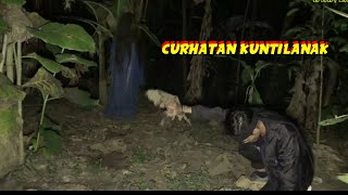 Download lagu KUNTILANAK CURHAT - SIBIRU DIINTROGASI mp3