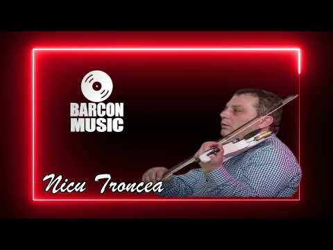 Nicu Troncea - Instrumentala  - Show Incendiar la Vioara -  Cel mai tare colaj de petrecere