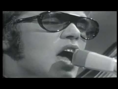 The Electric Prunes - I Had Too Much To Dream (Last Night)