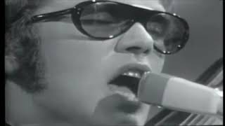 The Electric Prunes - I Had Too Much To Dream (Last Night)