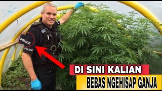 Download lagu 5 Negara Yang Melegalkan Ganja mp3 Download lagu 5 Negara Yang Melegalkan Ganja mp3