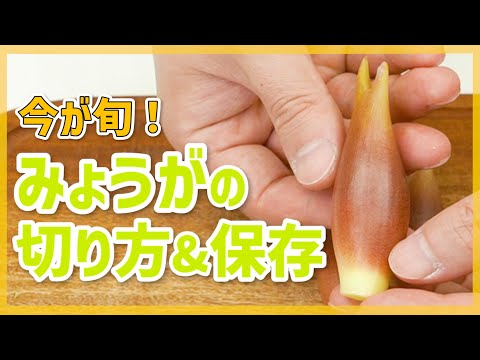 【薬味マスター！】みょうがの切り方と保存方法をプロが解説【千切り・冷凍保存】