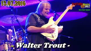 🇺🇸Exzellenter Blues Rock Walter Trout &amp; Band - HAUNTED BY THE NIGHT @ USA[Kulturbastion Torgau 2016]