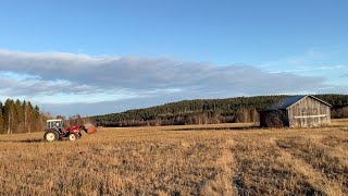 Trator de rodas International 844-S4 | Imagem 4 - Agroline