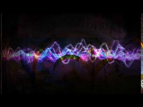 Ozric Tentacles - Through the years - 1992