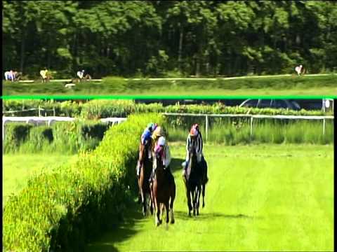 10.05.2015 - 4.Rennen - Galopprennbahn Dresden