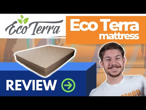 image-Is eco Terra a good brand?