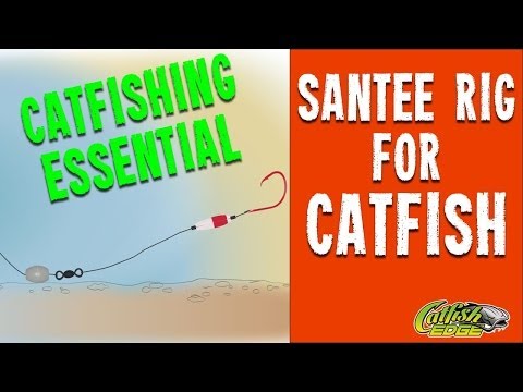 Rigging and Catfishing With the Santee Rig, Santee Cooper Rig -  Instructables