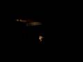 Faye Wong's "Fragile Woman"（王菲《容易受伤的 ...