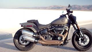 Softail Fat Bob