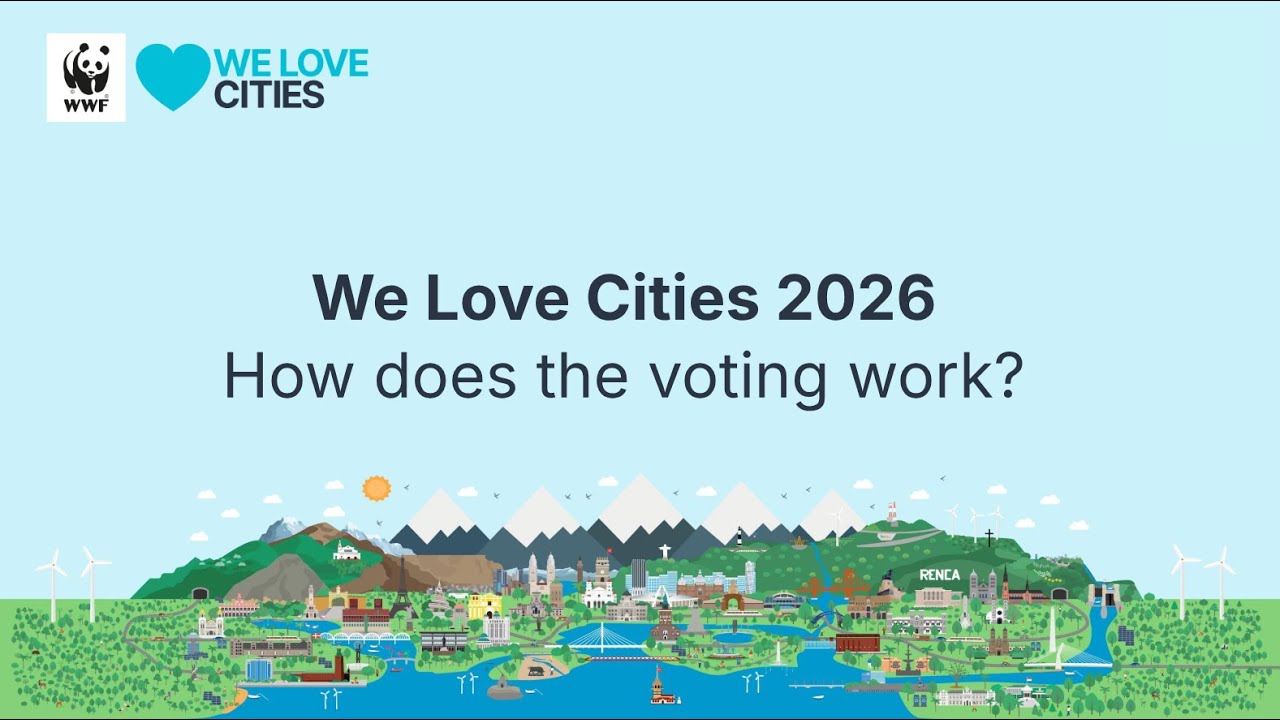 How does the voting work?