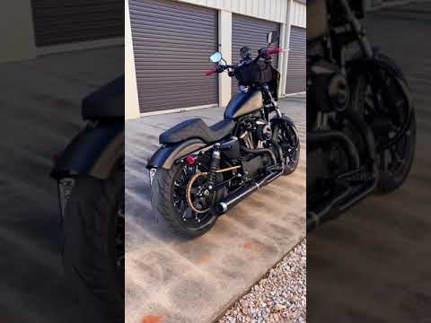 Sportster big bore 1250 Hammer 560 cams sound clip