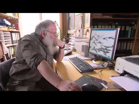 Xenius Arte 2015 02 18 08 25