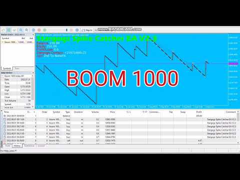 Video Stargogs Spike Catcher EA